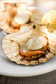 Grilled scallops