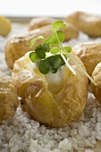 Baked potatoes with sour cream and cress on salt