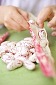 Kinderhände lösen Borlottibohnen aus der Schote