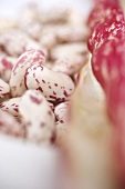 Borlotti beans with pods (close-up)