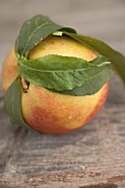 Nectarine with leaves on wooden background