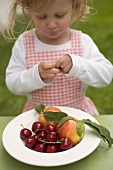 Small girl eating fresh cherries