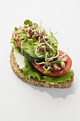 Wholemeal bread topped with vegetables, lettuce & sprouts