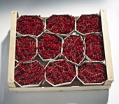 Fresh redcurrants in crate