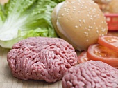 Ingredients for hamburgers