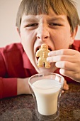 Boy trying to put a whole biscuit in his mouth, glass of milk
