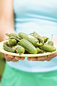 Woman holding plate of grilled, seasoned chillies