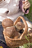 Small girl with a basket full of freshly picked ceps