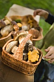 Small boy with baskets full of mushrooms in a wood
