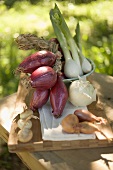 Various types of onions on chopping board out of doors