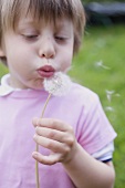 Child blowing a dandelion clock