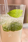 Mojito with lime and mint