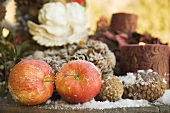 Christmas decoration with red apples and cones