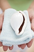 Hands holding shell on towel