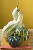 Various pumpkins and squashes on cloth