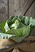 Cabbage on chopping board in front of wooden wall
