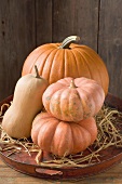 Pumpkins and squashes on old tray in front of wooden wall