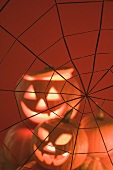 Pumpkin lanterns and cobweb (Halloween decorations)