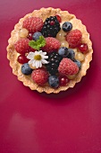 Mixed berry tartlet (overhead view)