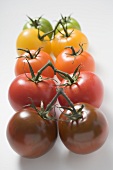 Cherry tomatoes (various colours)