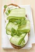 Yoghurt, cucumber slices and herbs on slice of bread