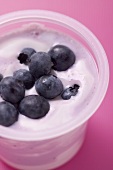 Blueberry yoghurt in plastic pot