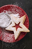 Jam biscuit on plate with icing sugar