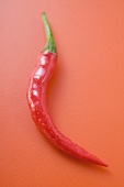 Red chilli on red background
