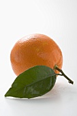 Orange with stalk and leaf