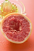 Squeezed pink grapefruit in front of citrus squeezer