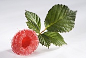 Raspberry with leaf