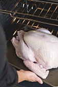 Putting turkey on baking tray into oven