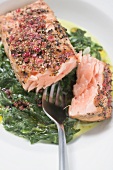 Spicy salmon fillet on spinach