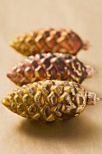 Three fir cones (Christmas tree ornaments)