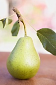 Green pear with stalk and leaves