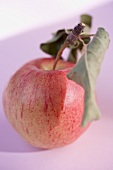 Red apple with stalk and leaves