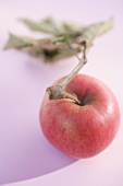 Red apple with stalk and leaves (overhead view)