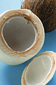 Kokosnüsse, geschält und ungeschält