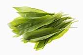Ramsons (wild garlic) leaves