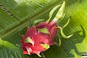Pitahaya on palm leaf