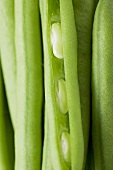 Several green beans (close-up)