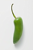 Green chilli (Jalapeño) with drops of water