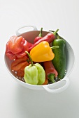 Assorted chillies in colander