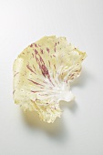 A radicchio leaf