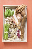 Various types of vegetables, galangal and mushrooms in box