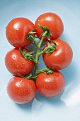 Vine tomatoes with drops of water