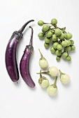 Various types of aubergines (overhead view)