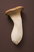 A king oyster mushroom