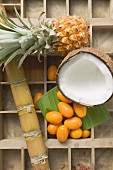 Pineapple, coconut, kumquats and sugar cane in type case