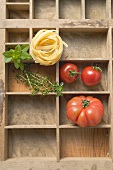 Ribbon pasta, tomatoes and fresh herbs in type case